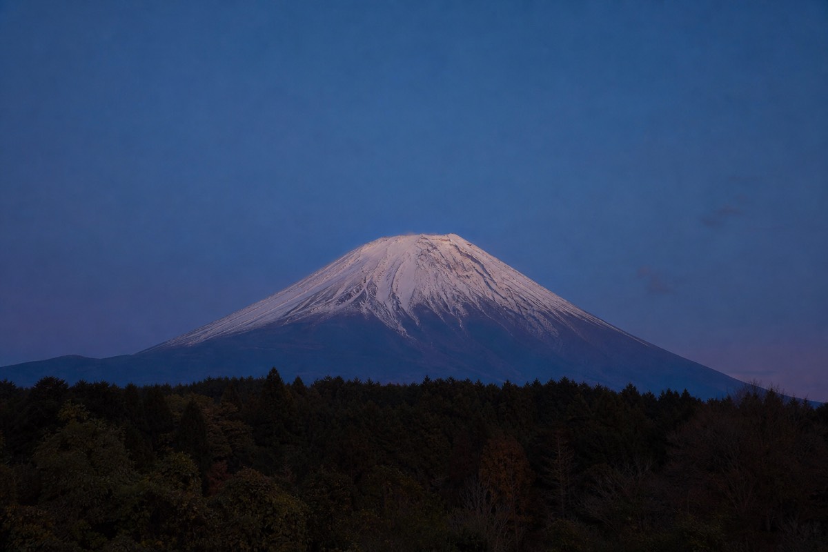 Aokigahara Forest at the base of Mount Fuji