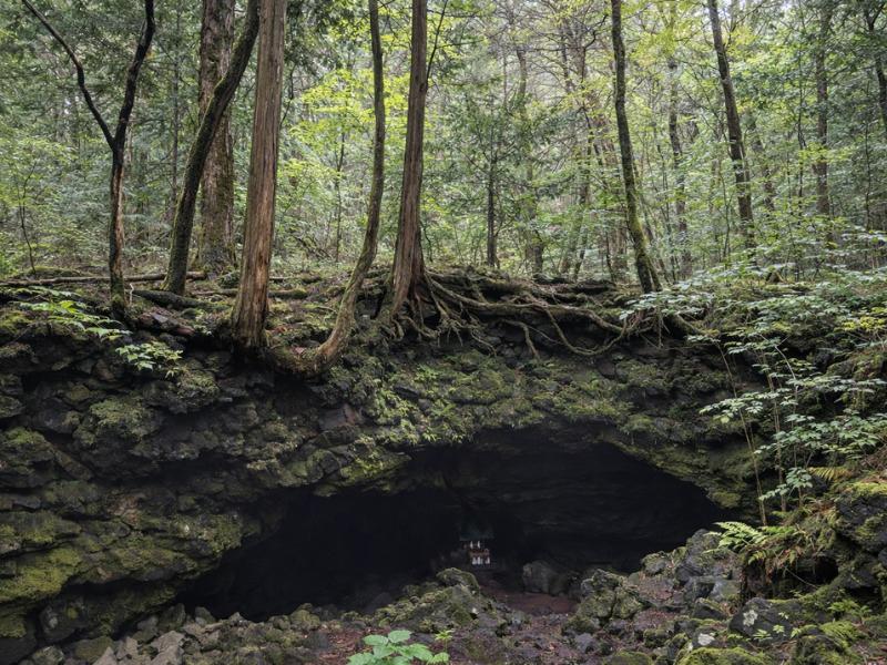 Personal Mt. Fuji Nature Discovery Tour – English-Guided, Serene & Intimate